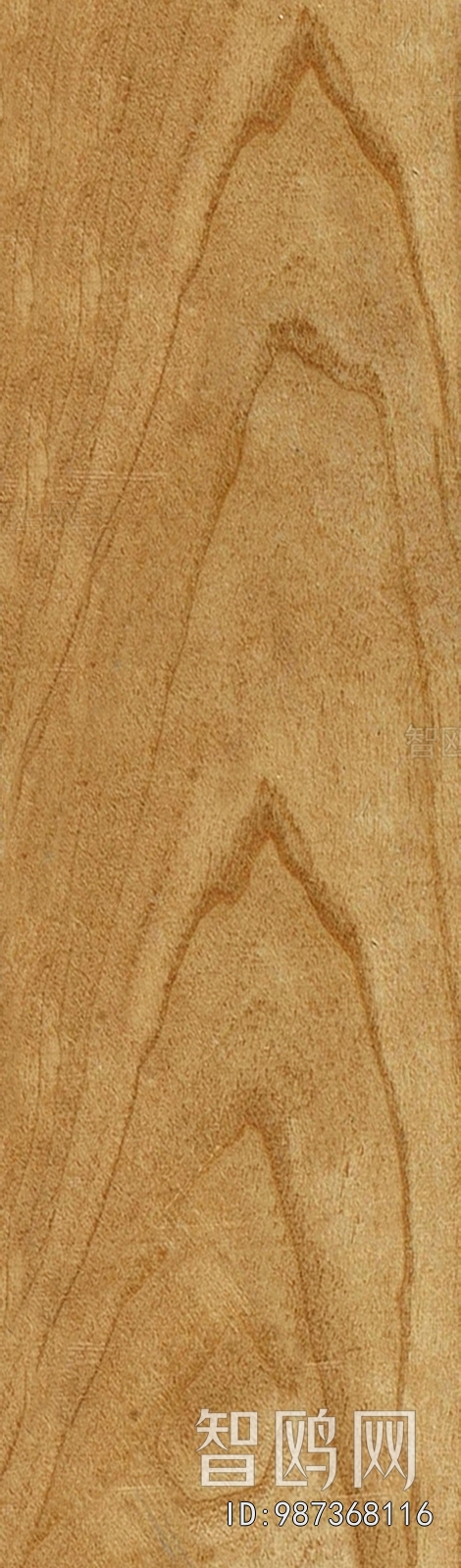 Wood Texture