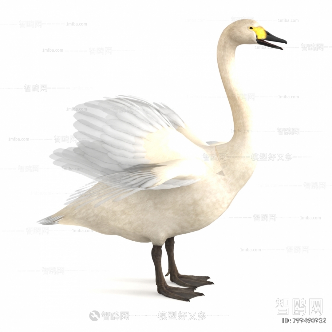 Modern Flying Animals