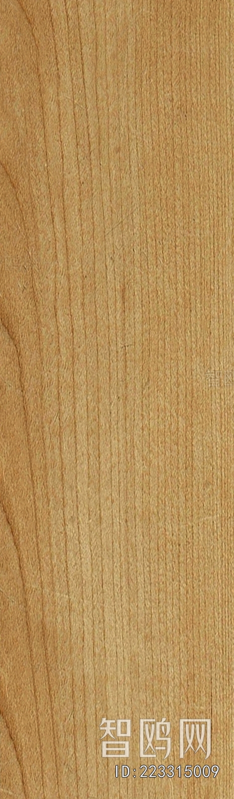 Wood Texture