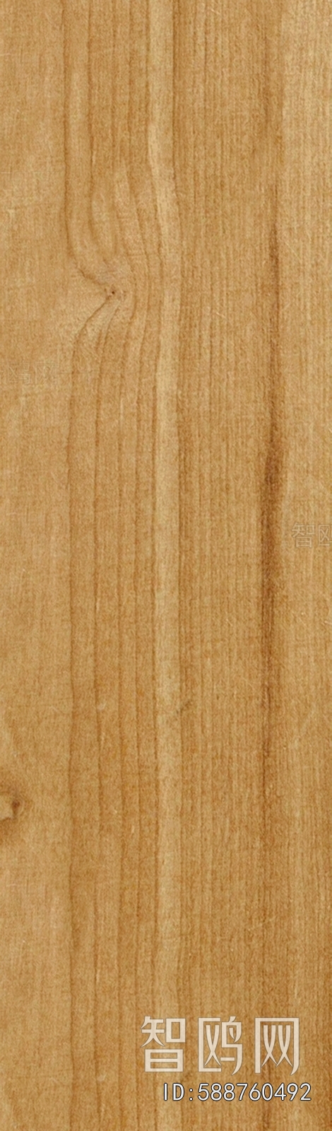 Wood Texture