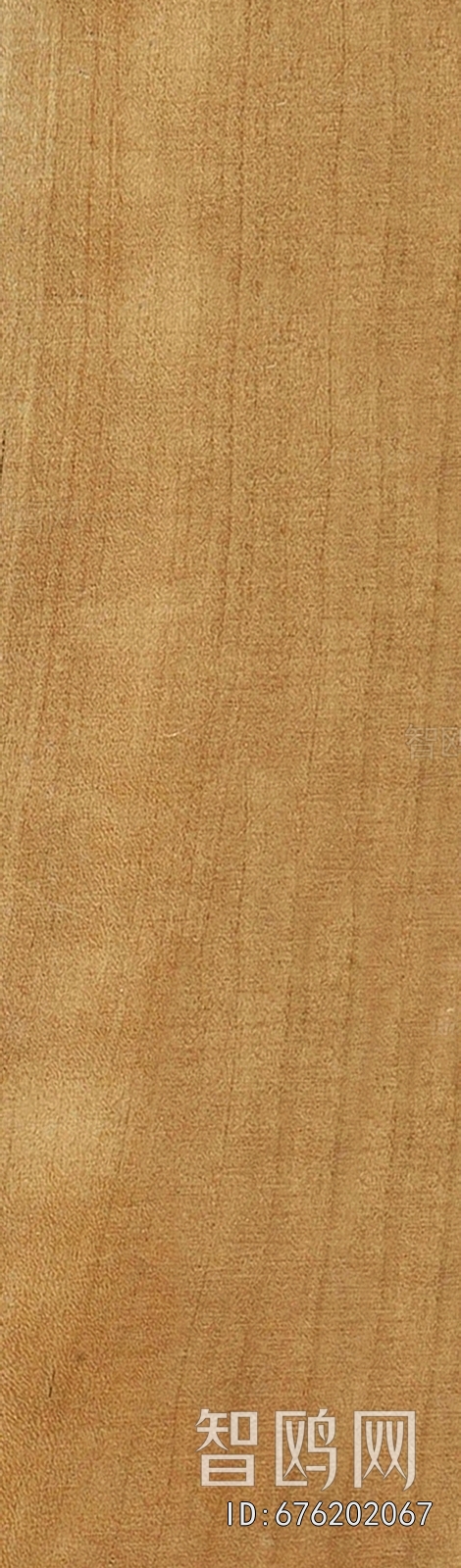 Wood Texture