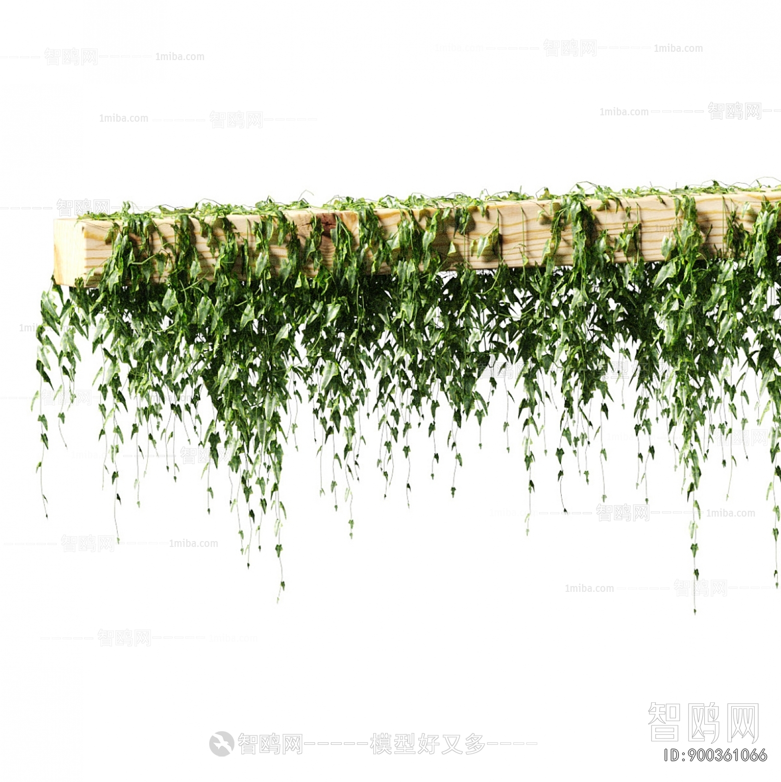 Wabi-sabi Style Vine