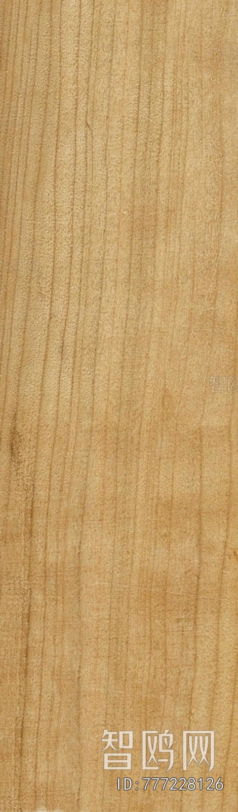 Wood Texture
