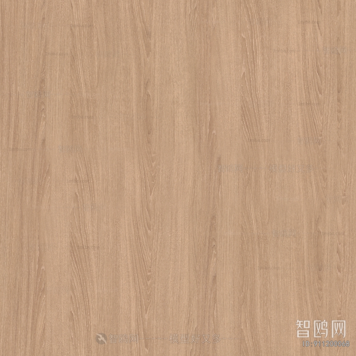 Wood Texture