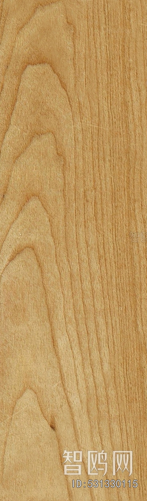 Wood Texture