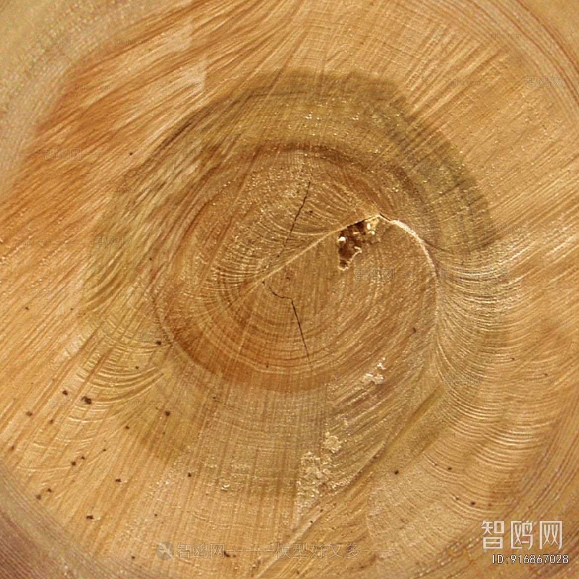Wood Texture