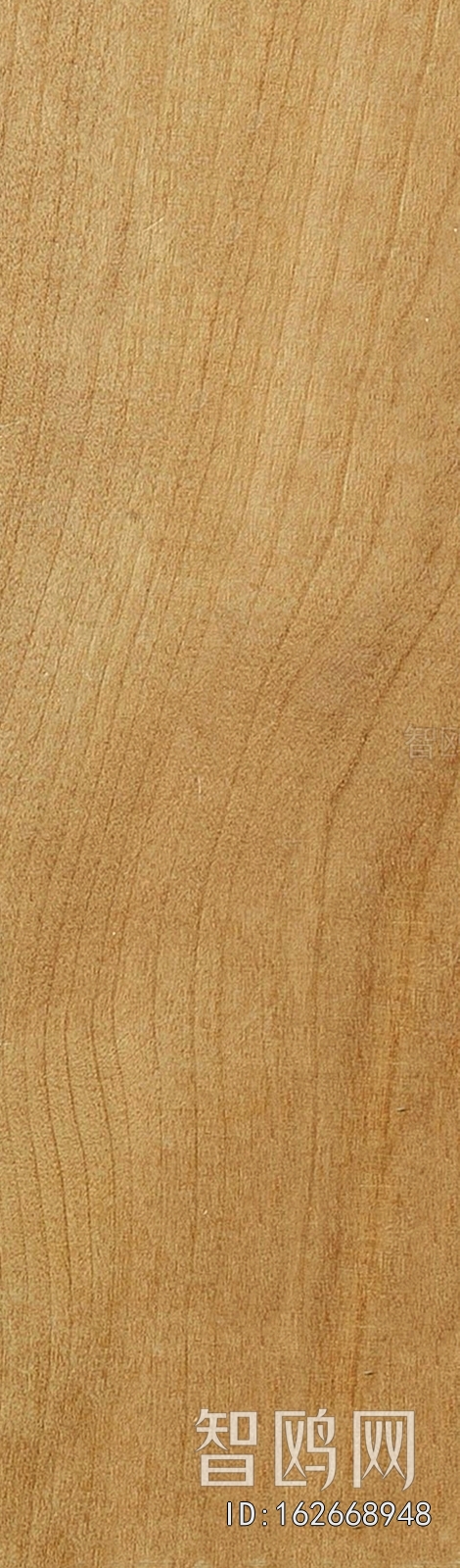 Wood Texture