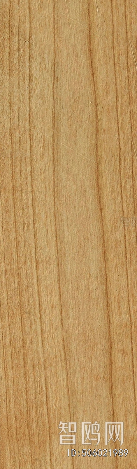 Wood Texture