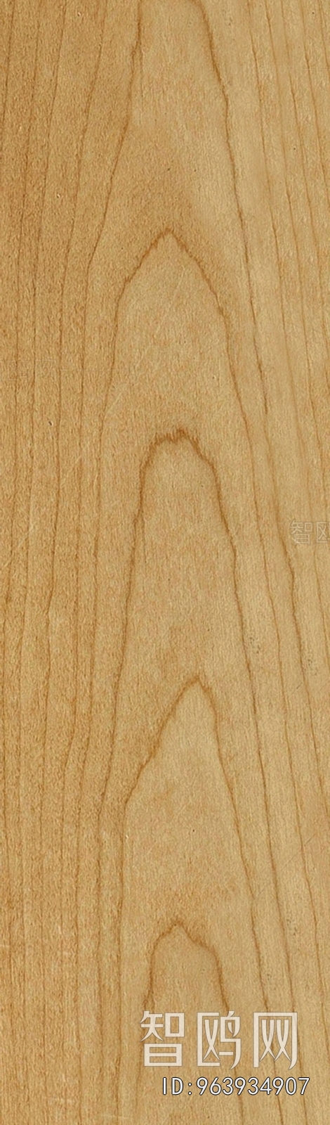 Wood Texture