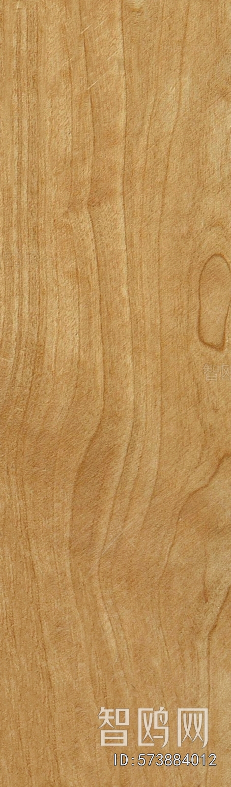 Wood Texture