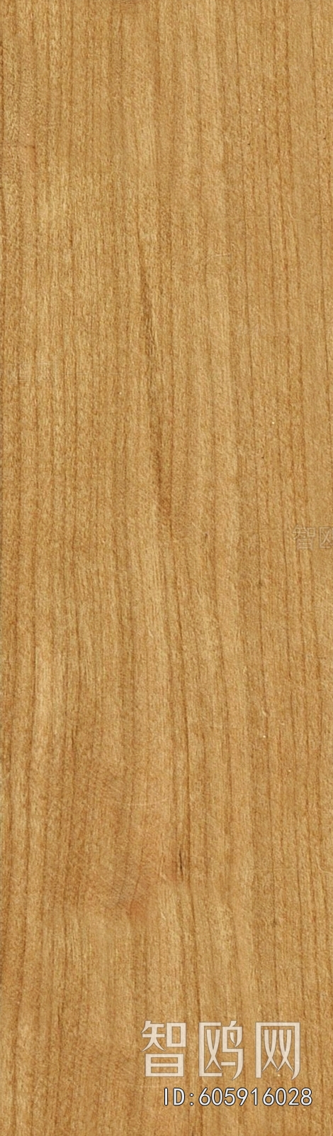 Wood Texture