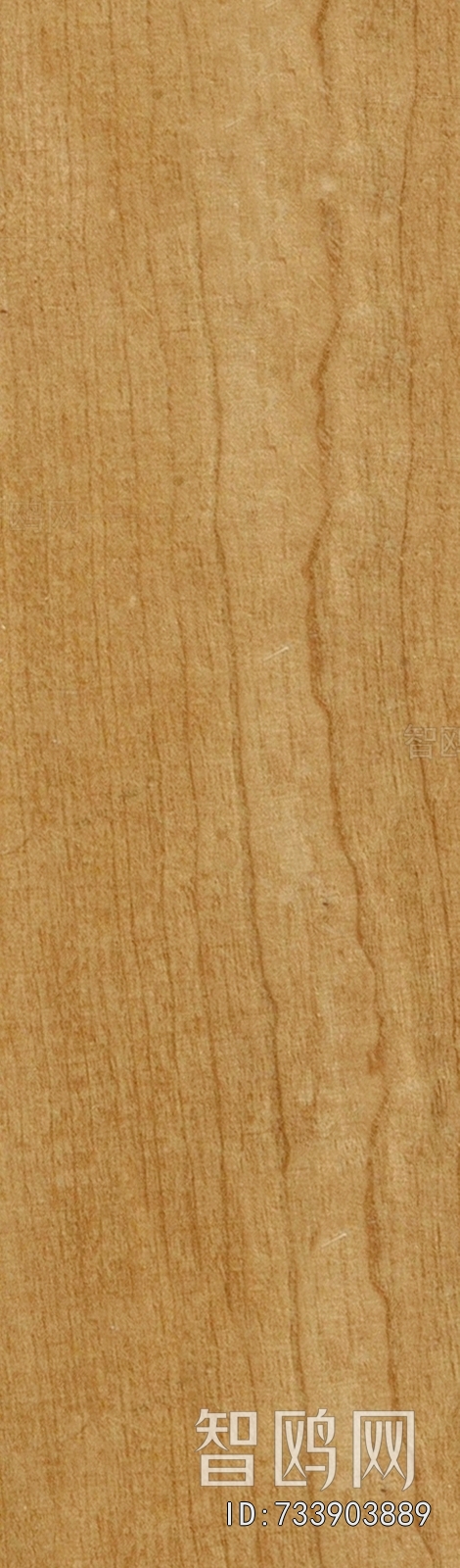 Wood Texture