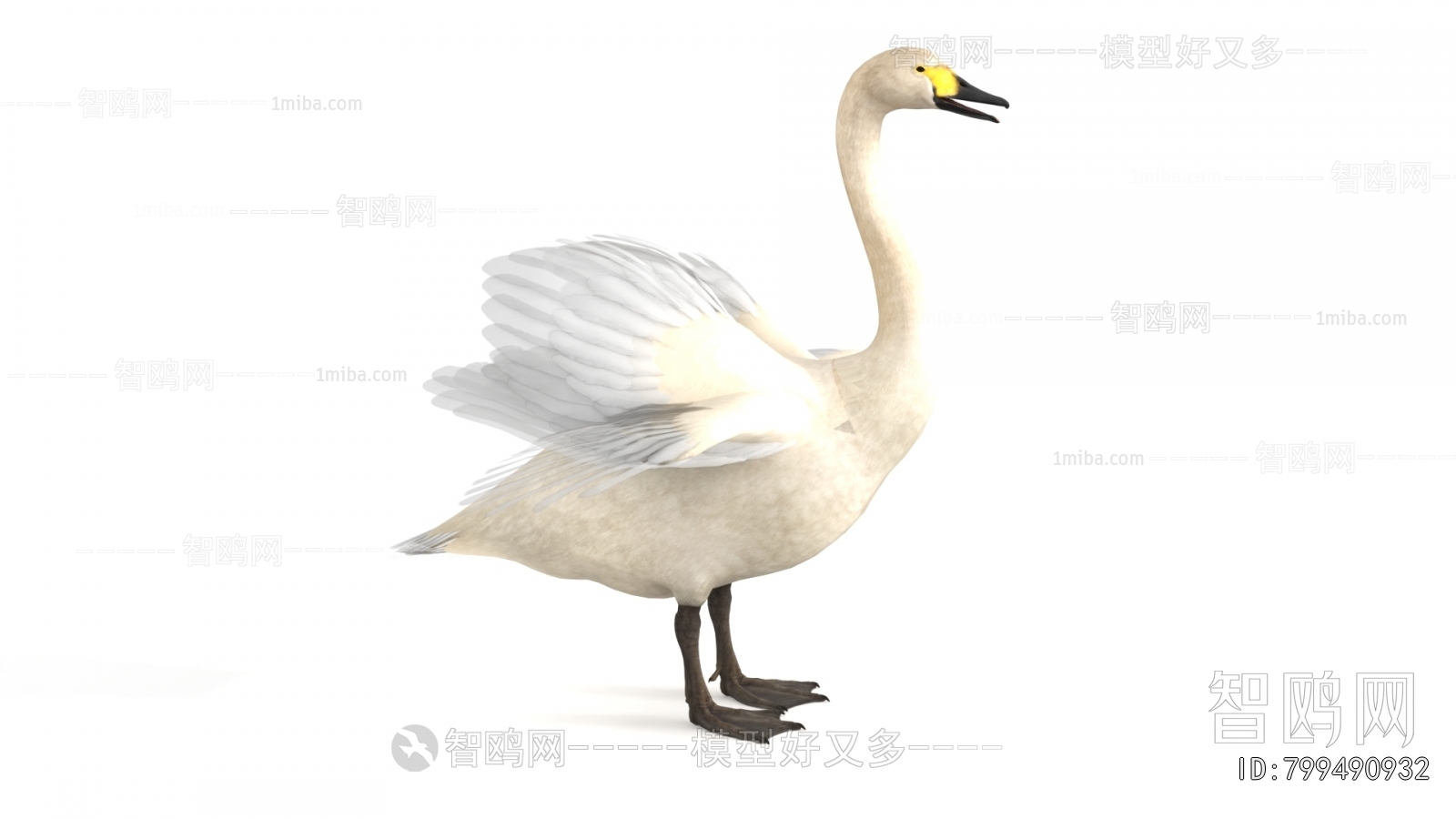 Modern Flying Animals