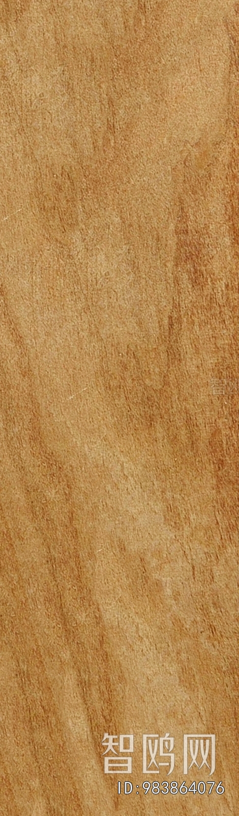 Wood Texture