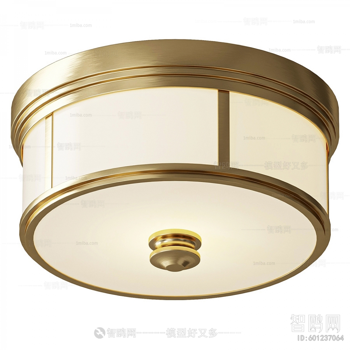 Modern Ceiling Ceiling Lamp