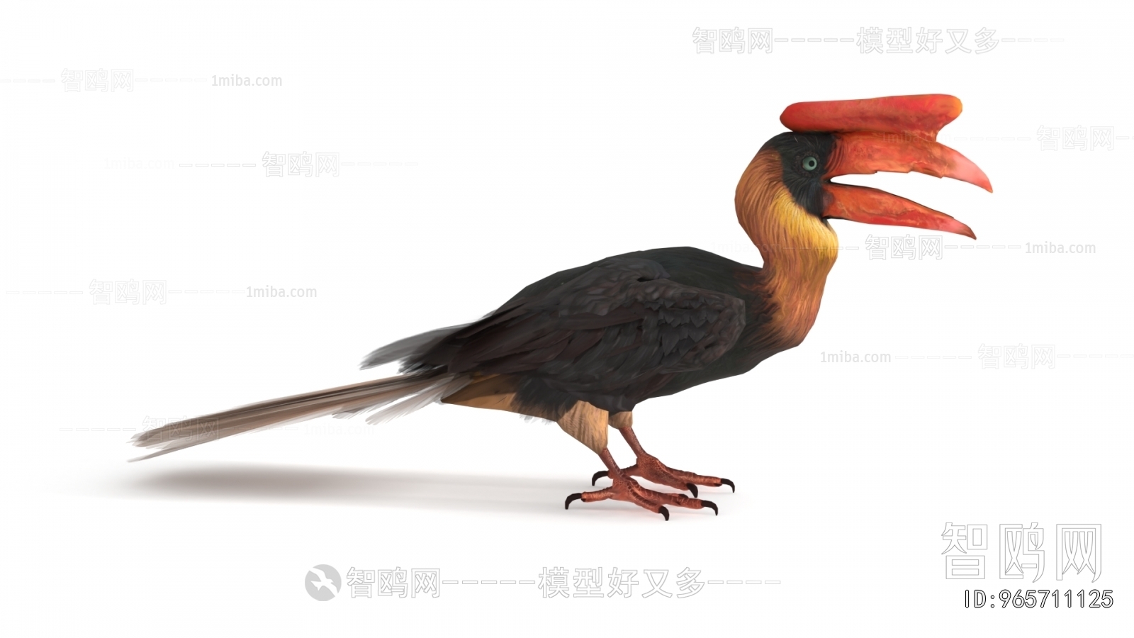 Modern Flying Animals