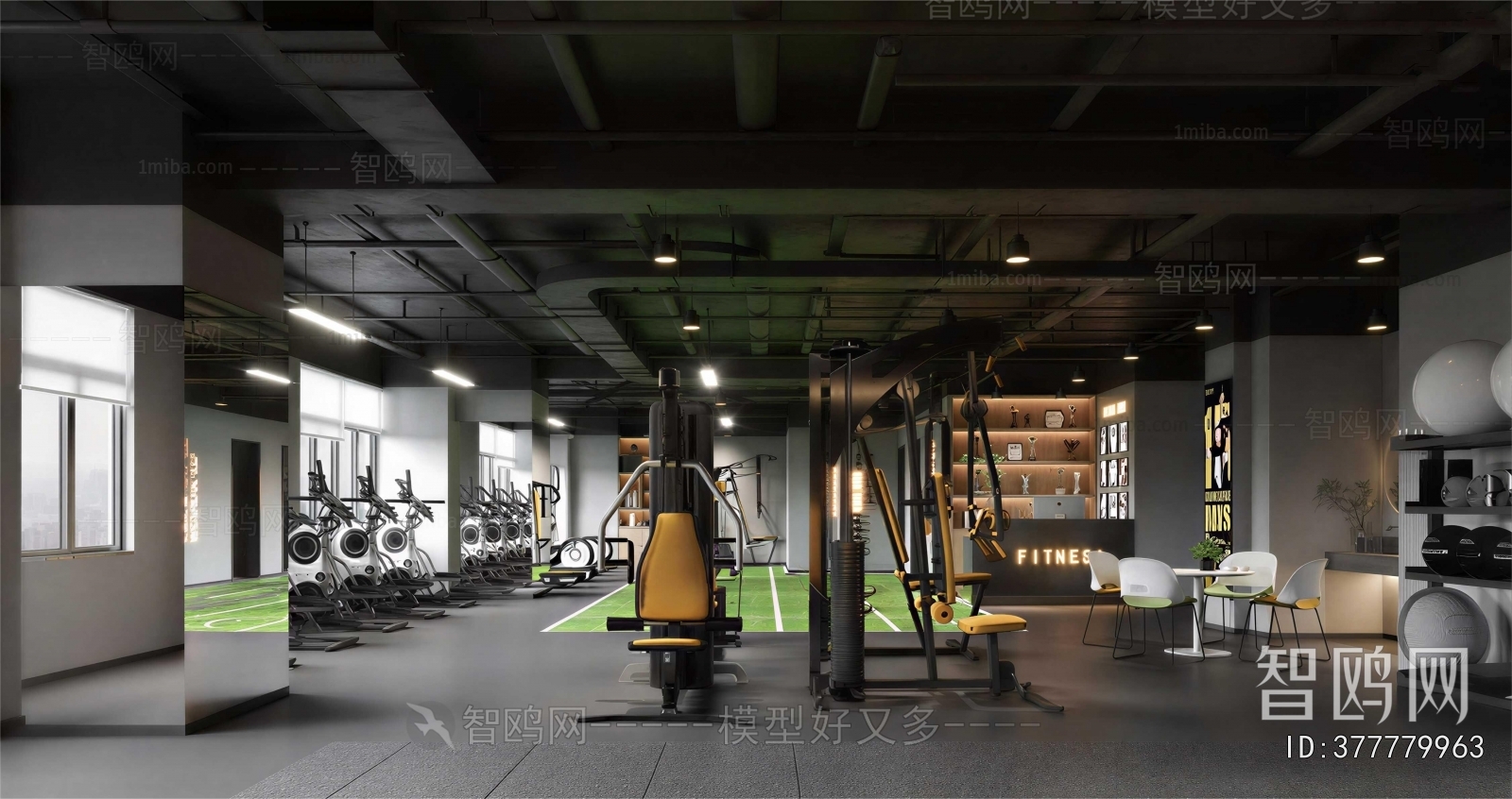 Industrial Style Gym