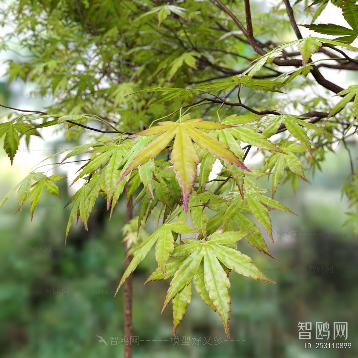 Modern Tree