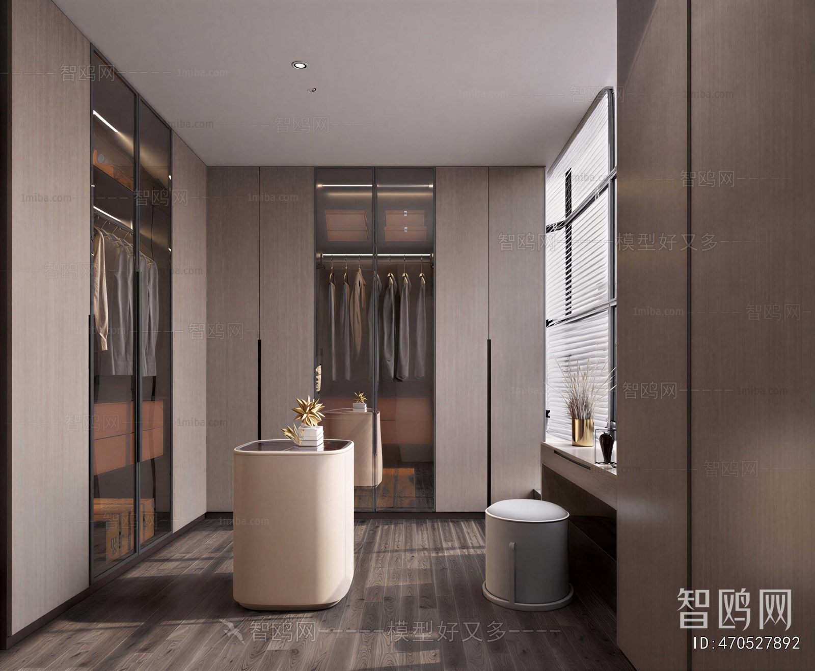 Modern Clothes Storage Area