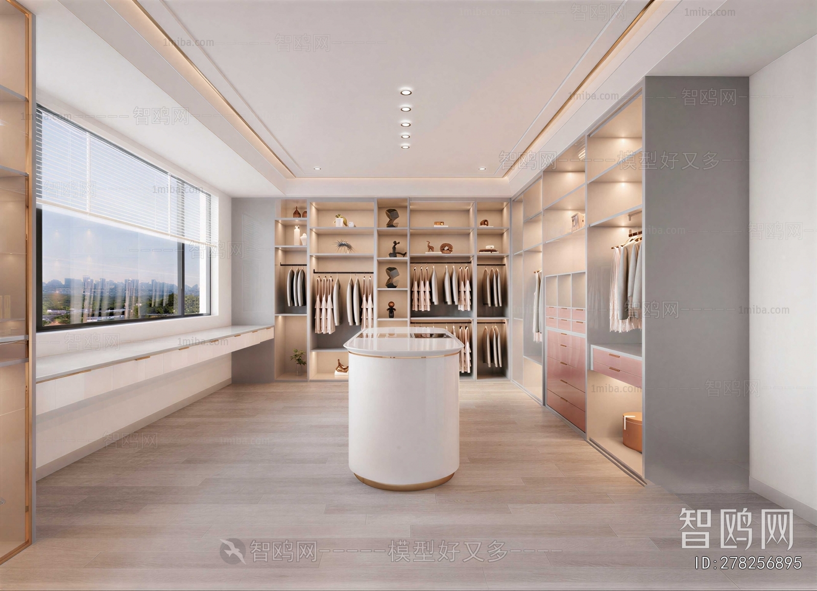 Modern Clothes Storage Area