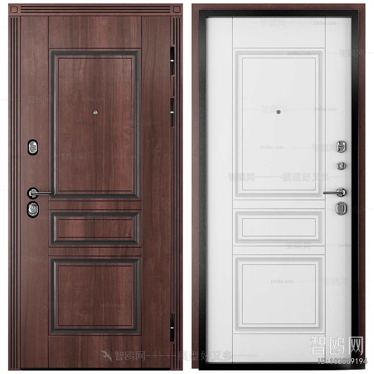 Modern Entrance Door