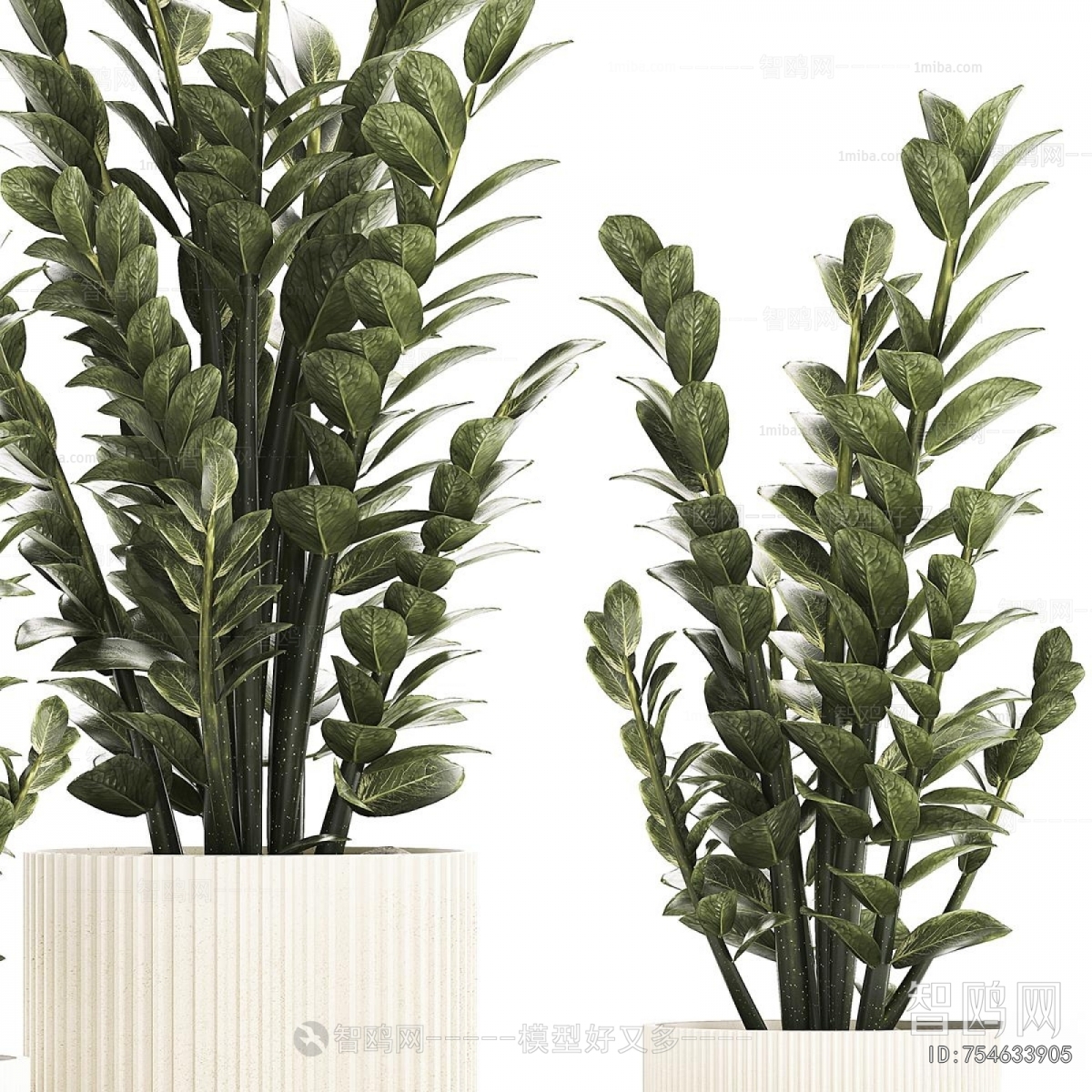 Modern Ground Green Plant Potted Plants