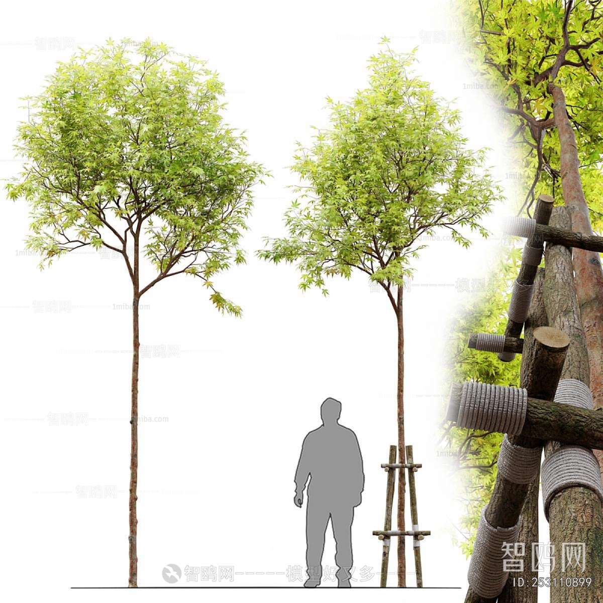 Modern Tree