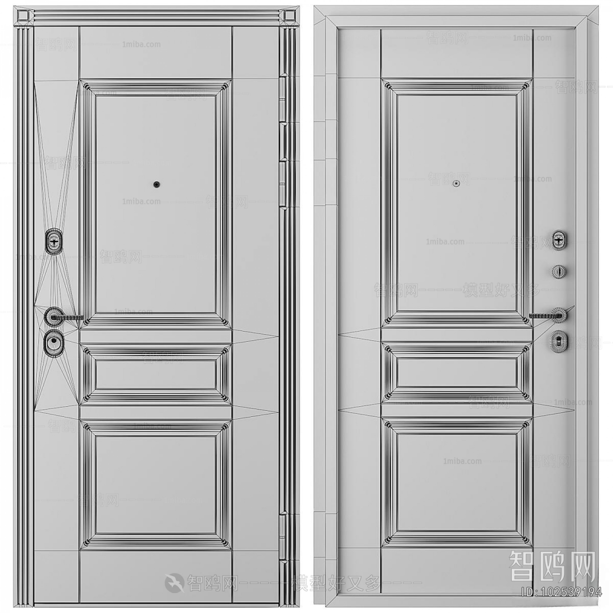 Modern Entrance Door