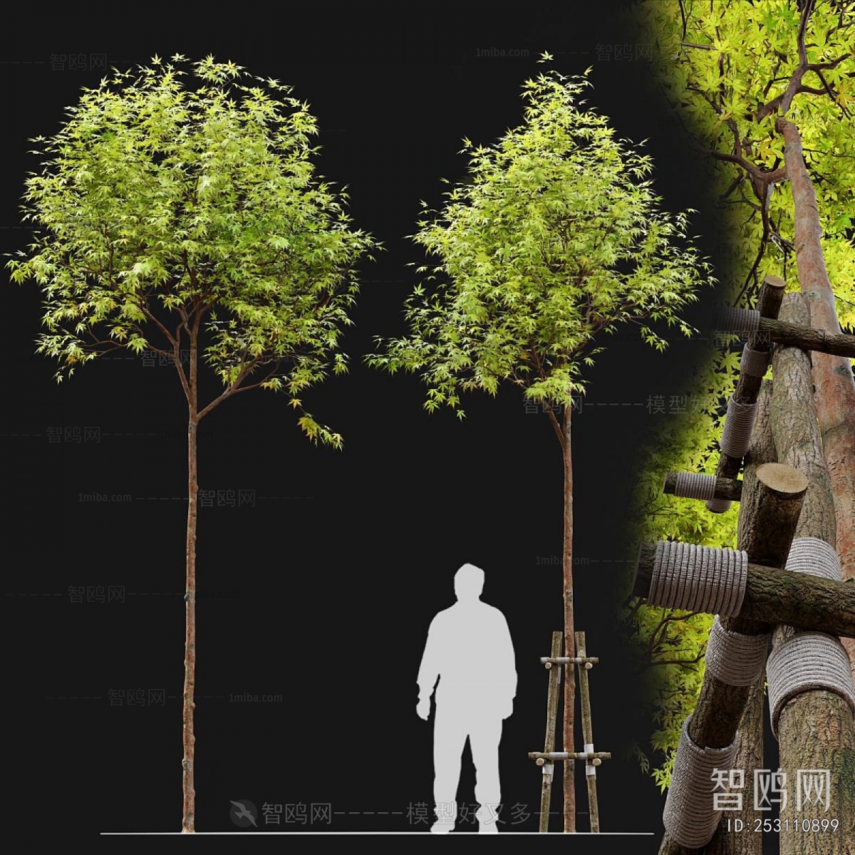 Modern Tree