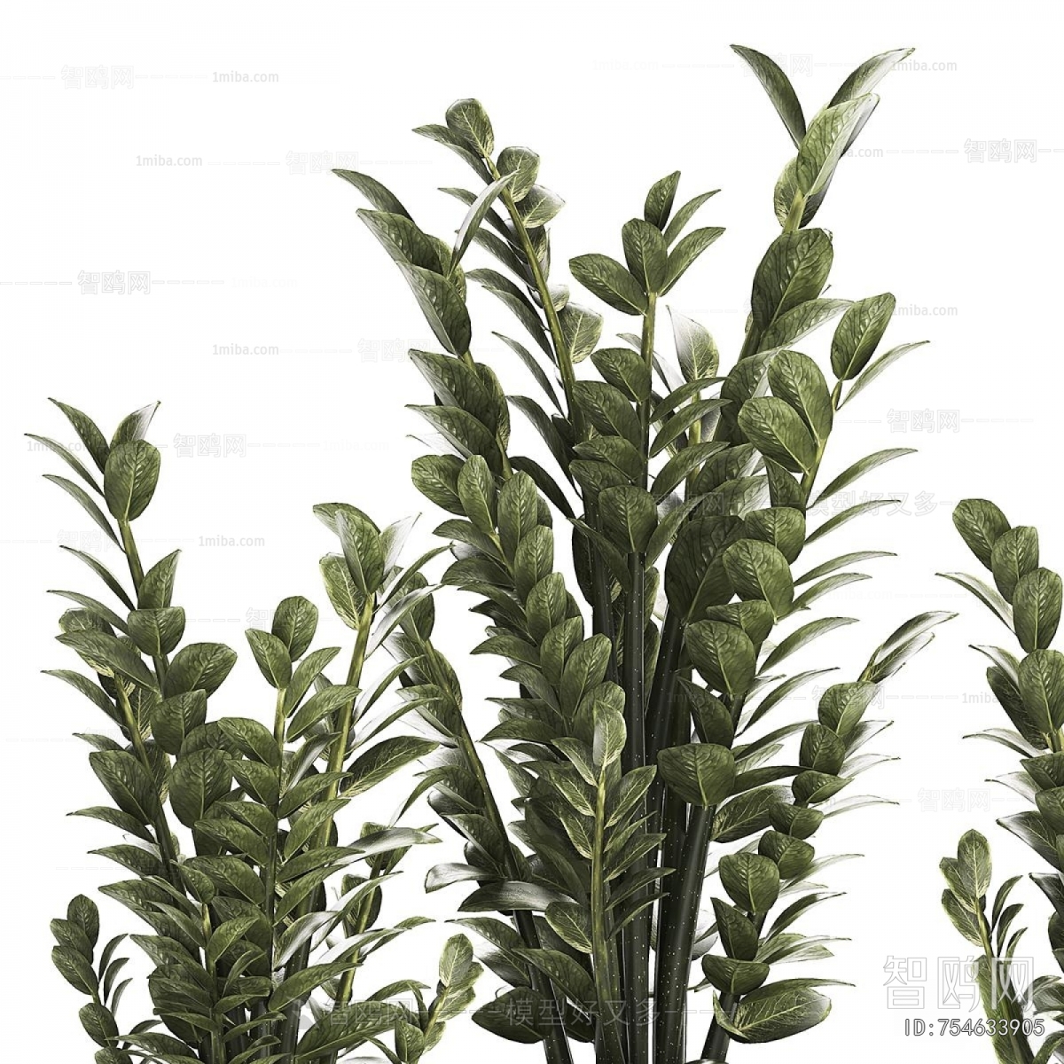 Modern Ground Green Plant Potted Plants