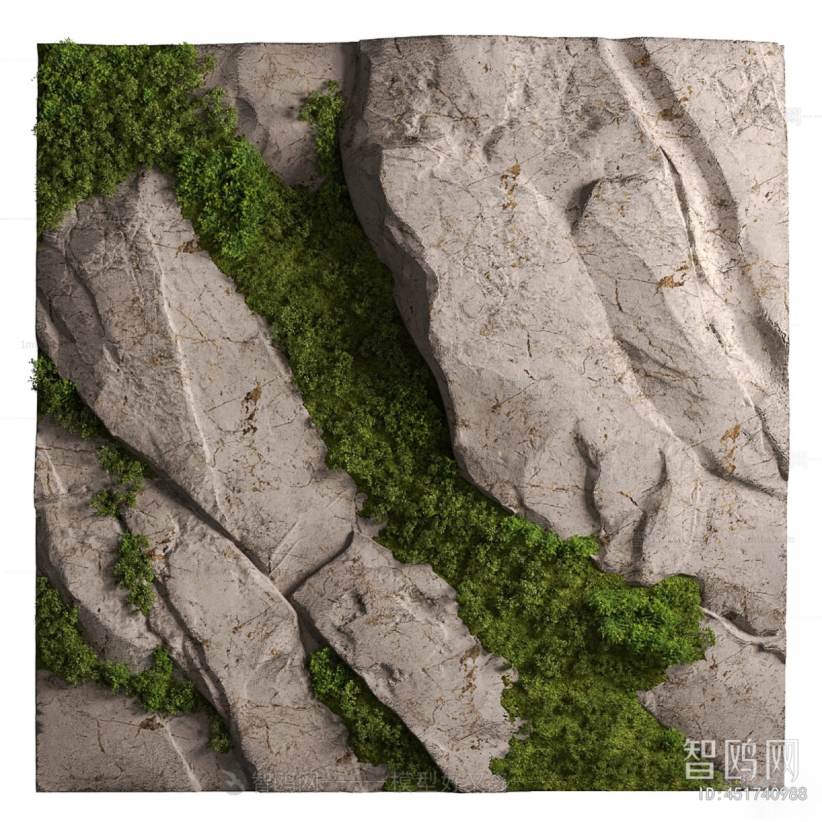 Modern The Grass