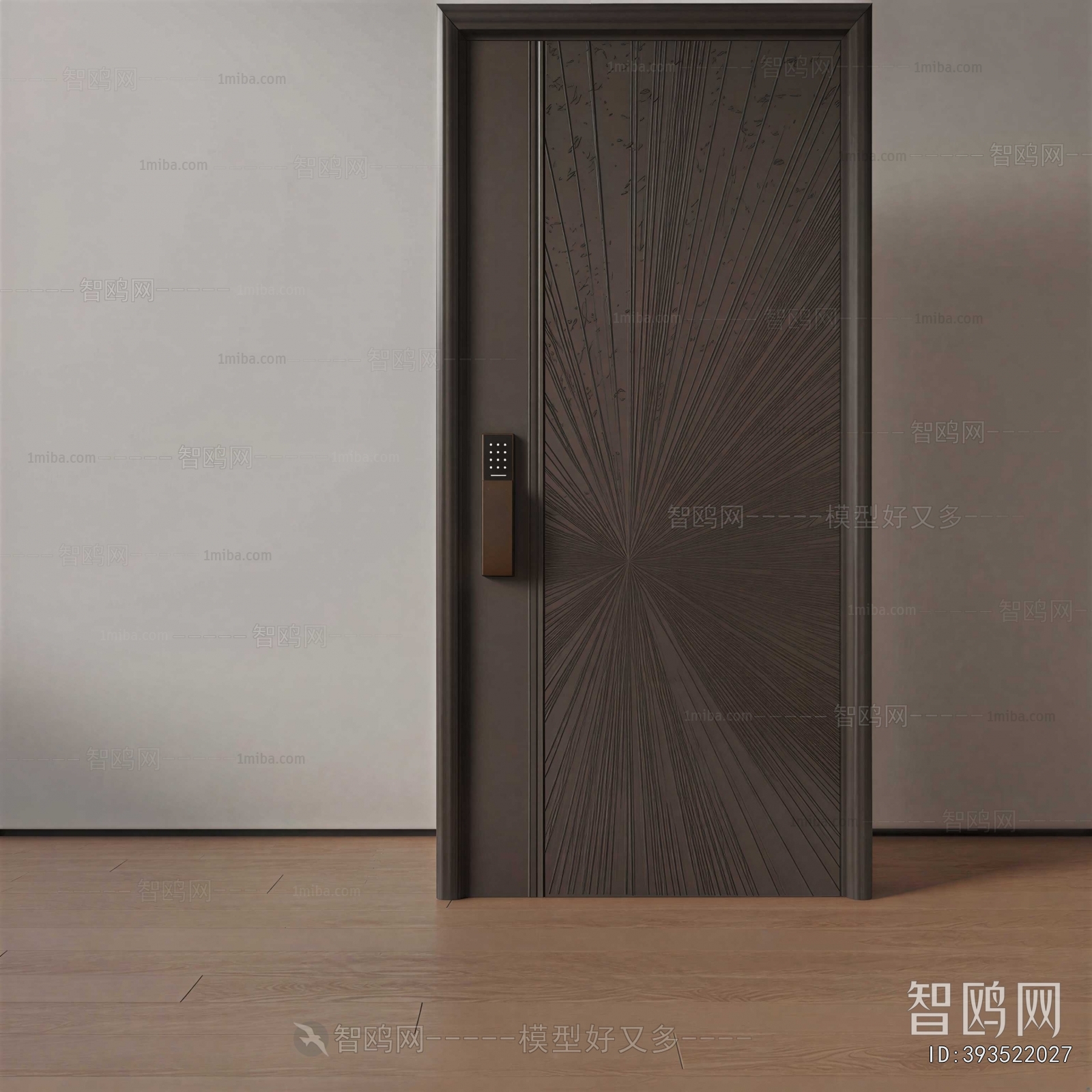 Modern Entrance Door