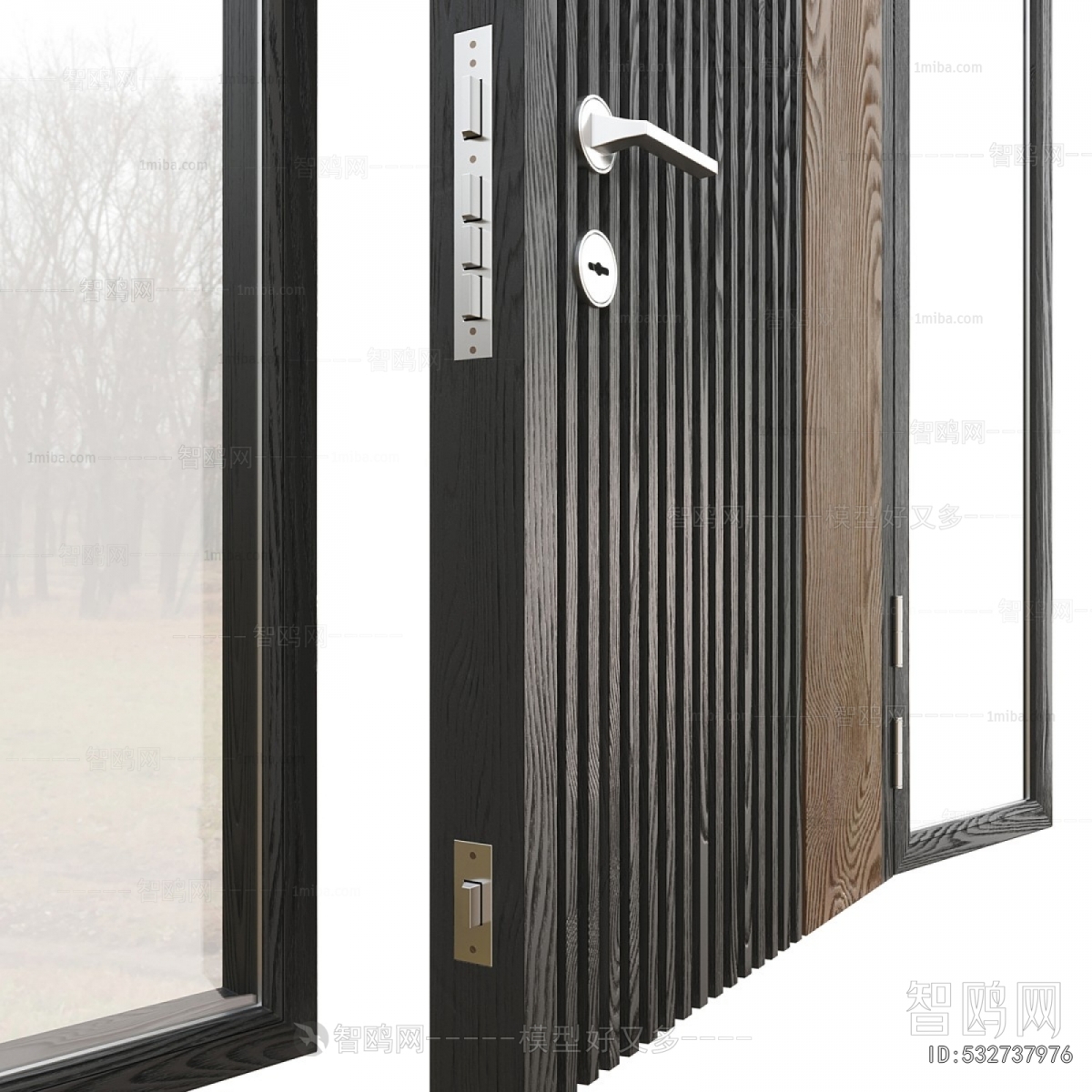 Modern Entrance Door