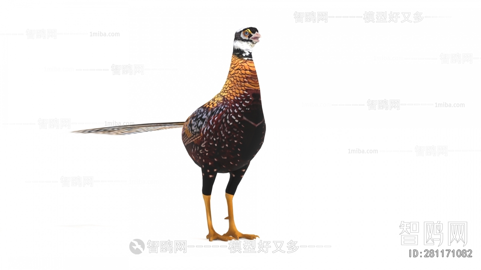 Modern Flying Animals