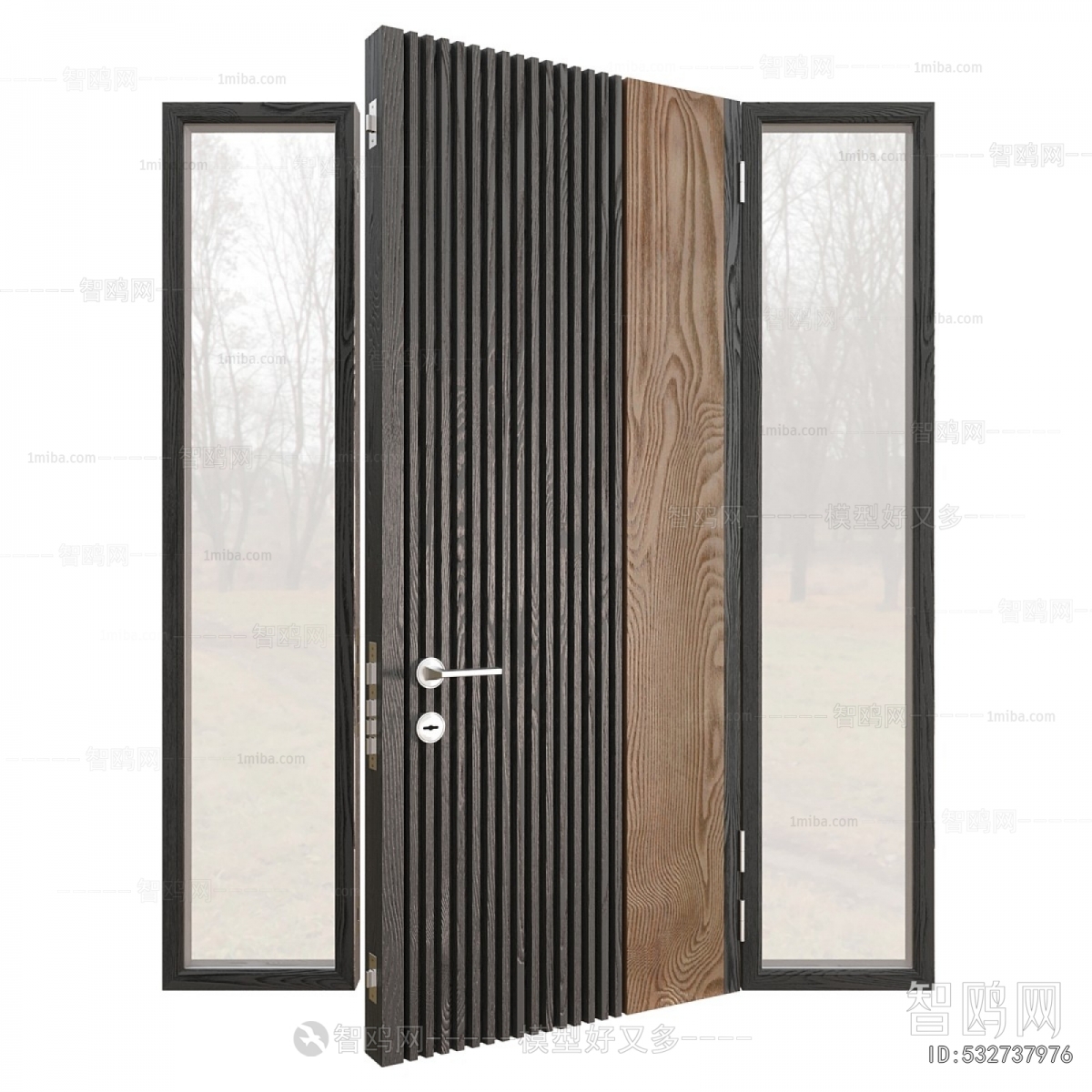 Modern Entrance Door
