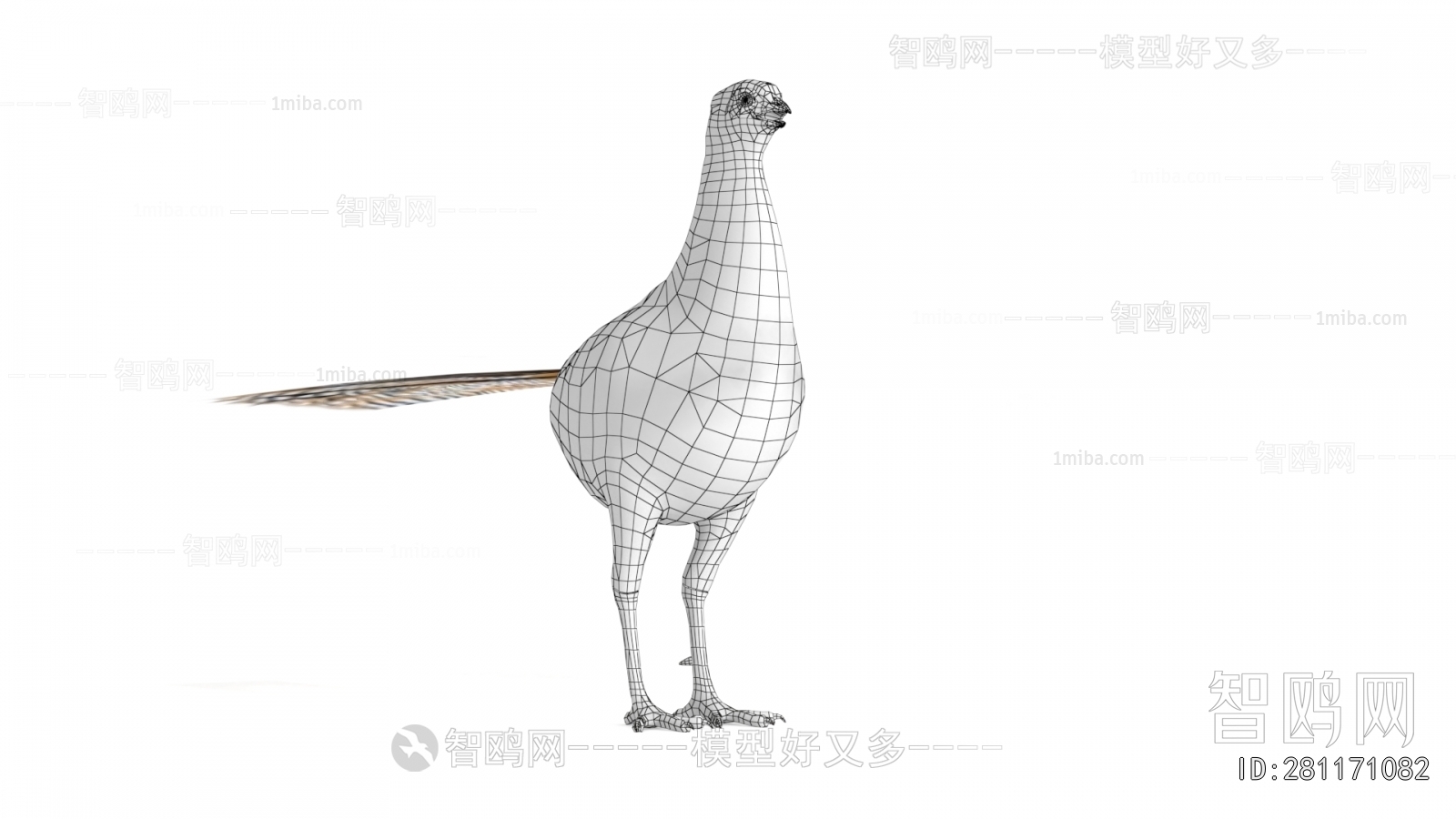 Modern Flying Animals