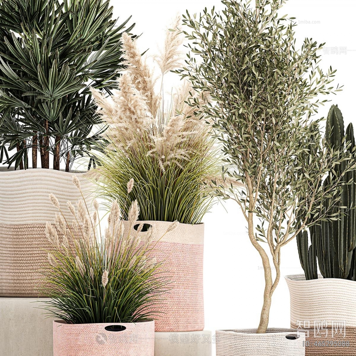 Modern Ground Green Plant Potted Plants