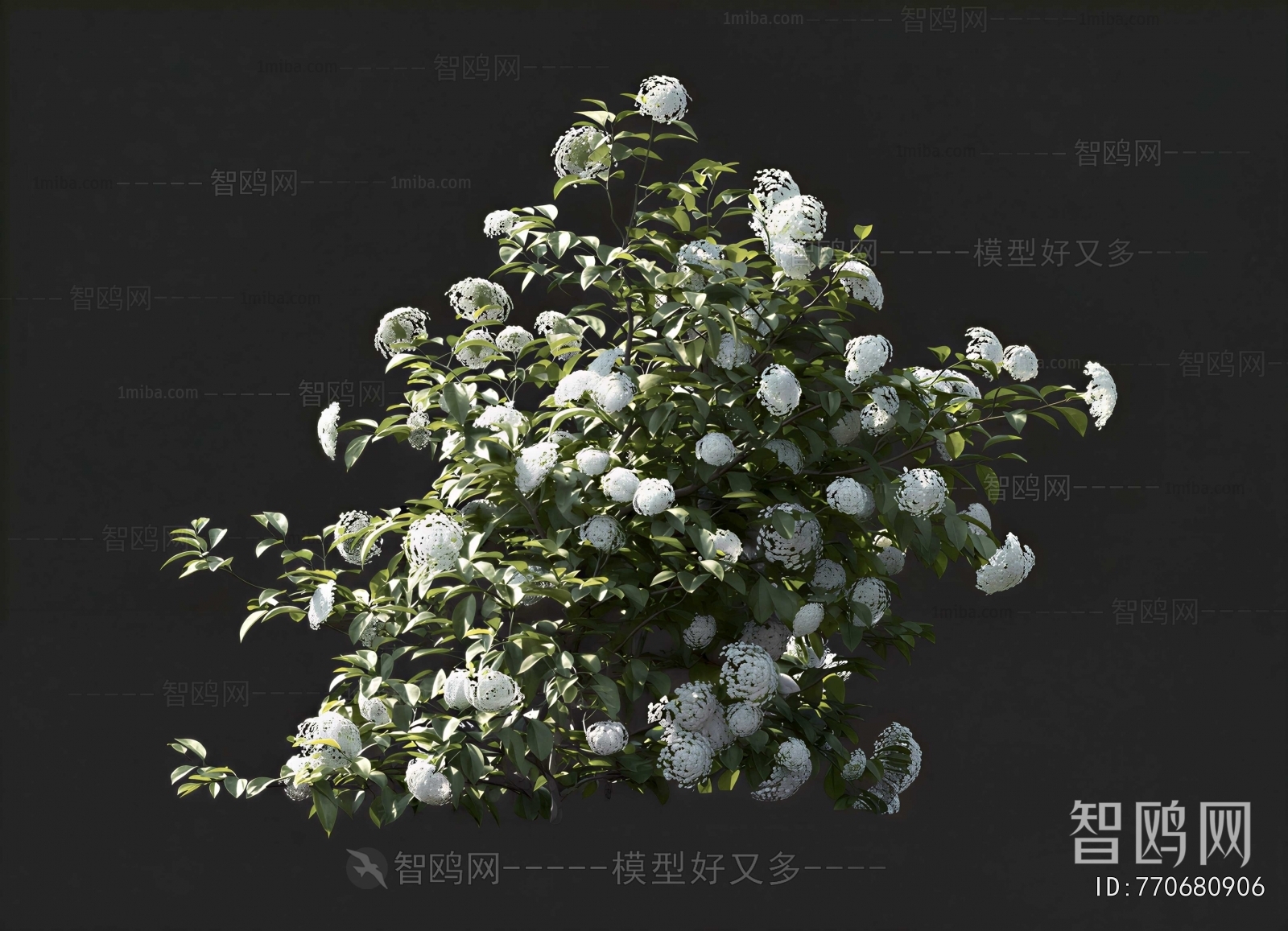 Modern Flowers And Grass