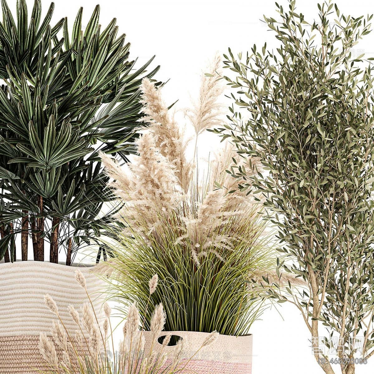 Modern Ground Green Plant Potted Plants