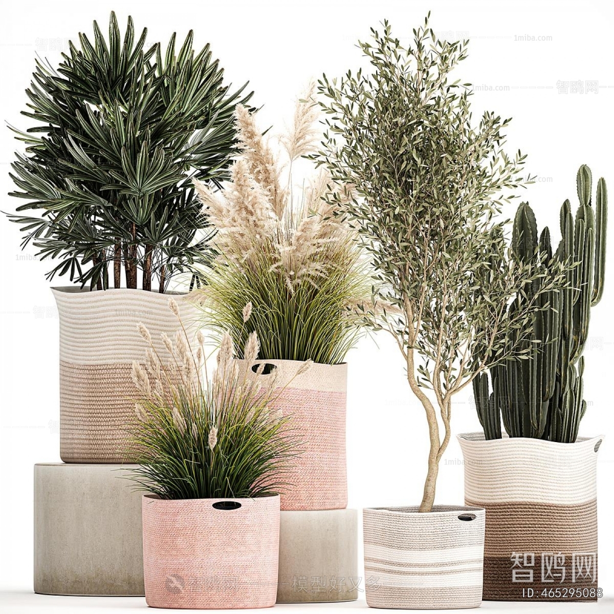 Modern Ground Green Plant Potted Plants