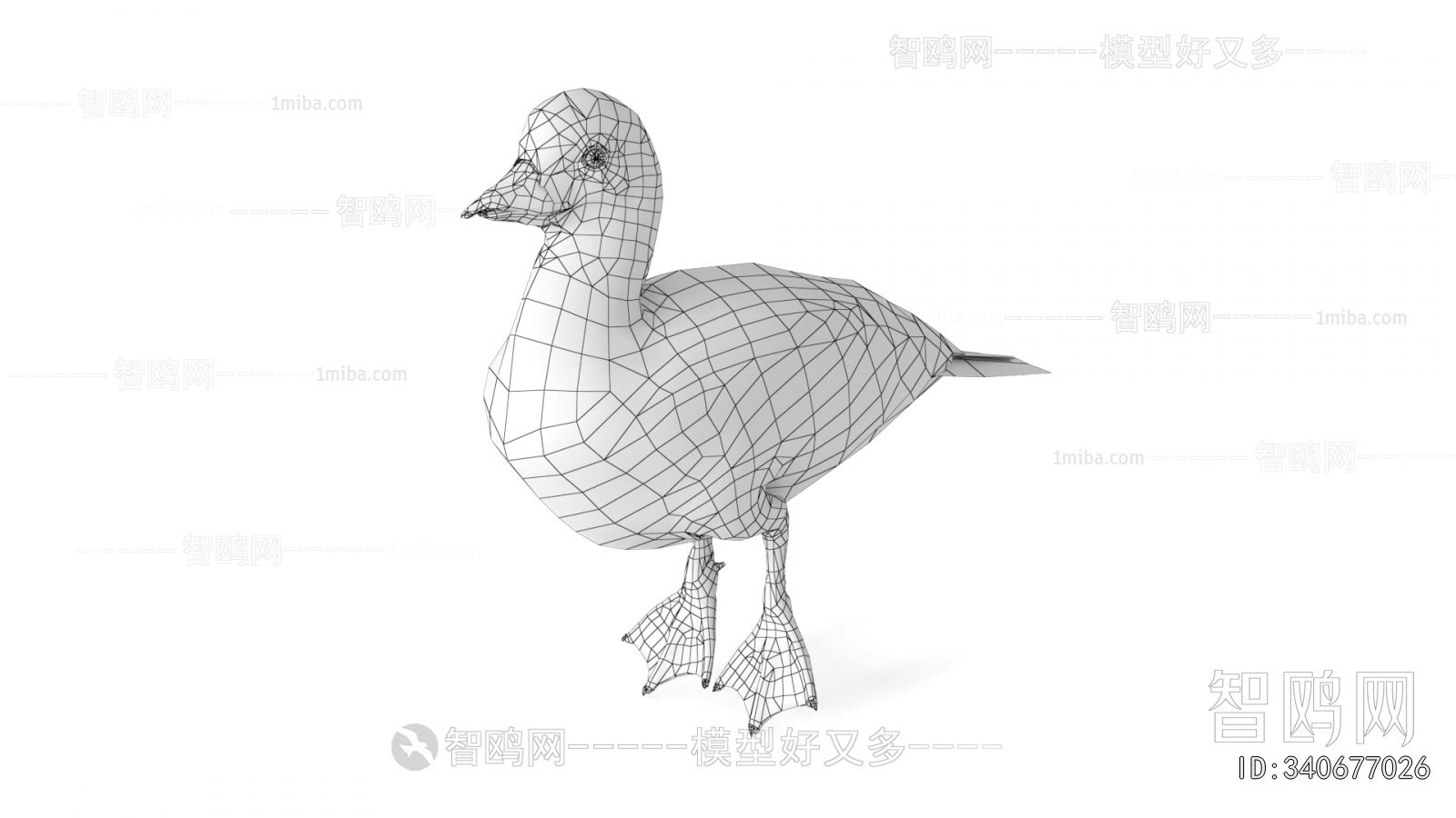 Modern Flying Animals