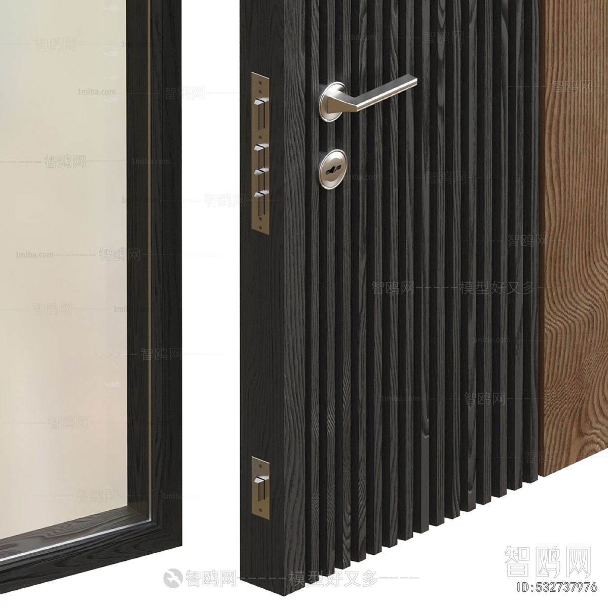 Modern Entrance Door