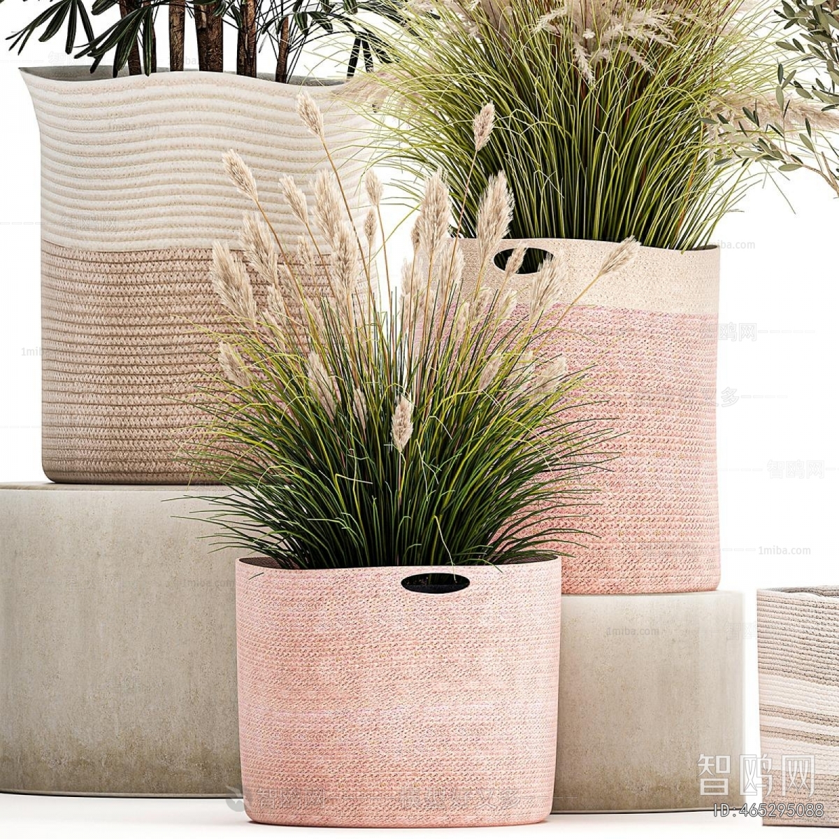 Modern Ground Green Plant Potted Plants
