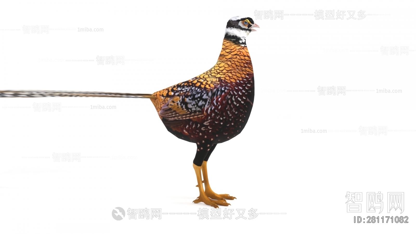 Modern Flying Animals