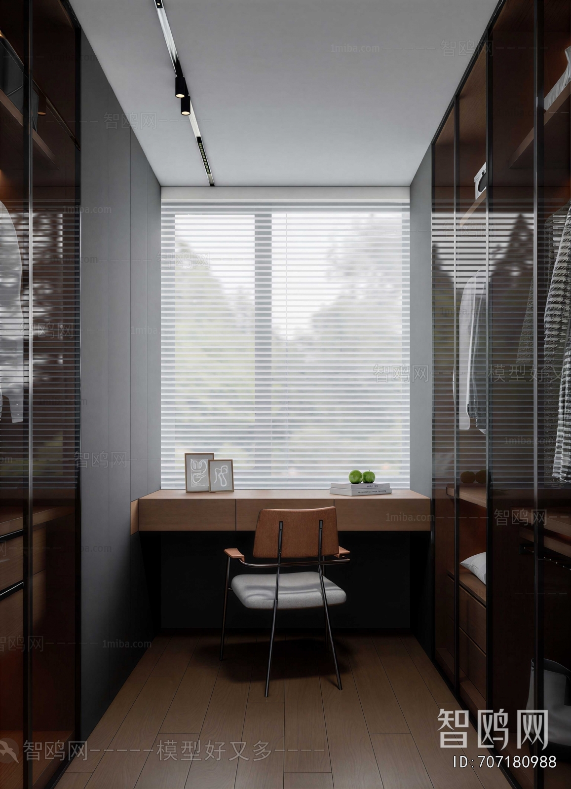 Modern Clothes Storage Area