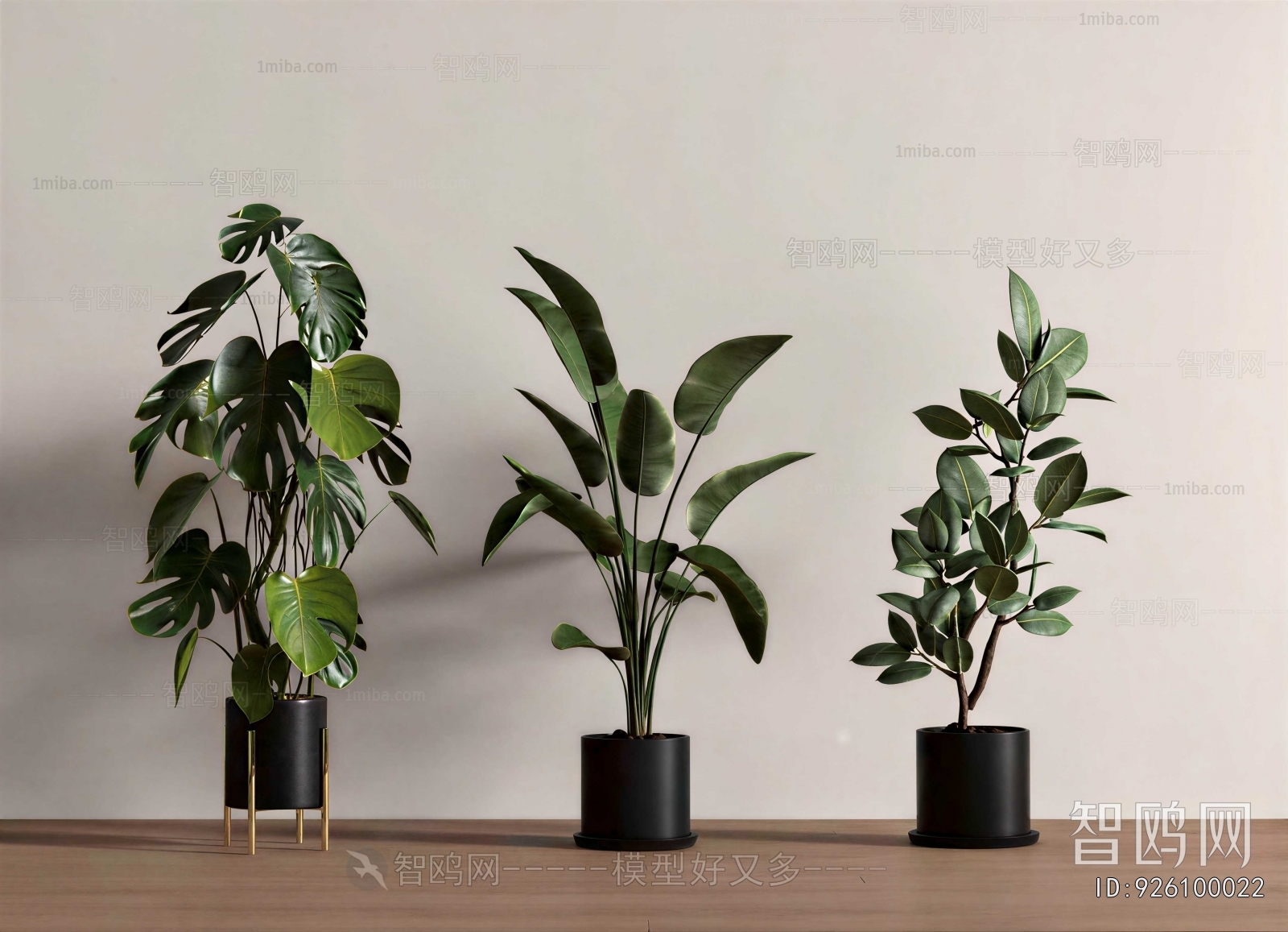 Modern Ground Green Plant Potted Plants
