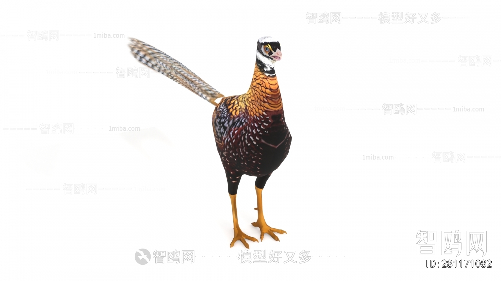 Modern Flying Animals