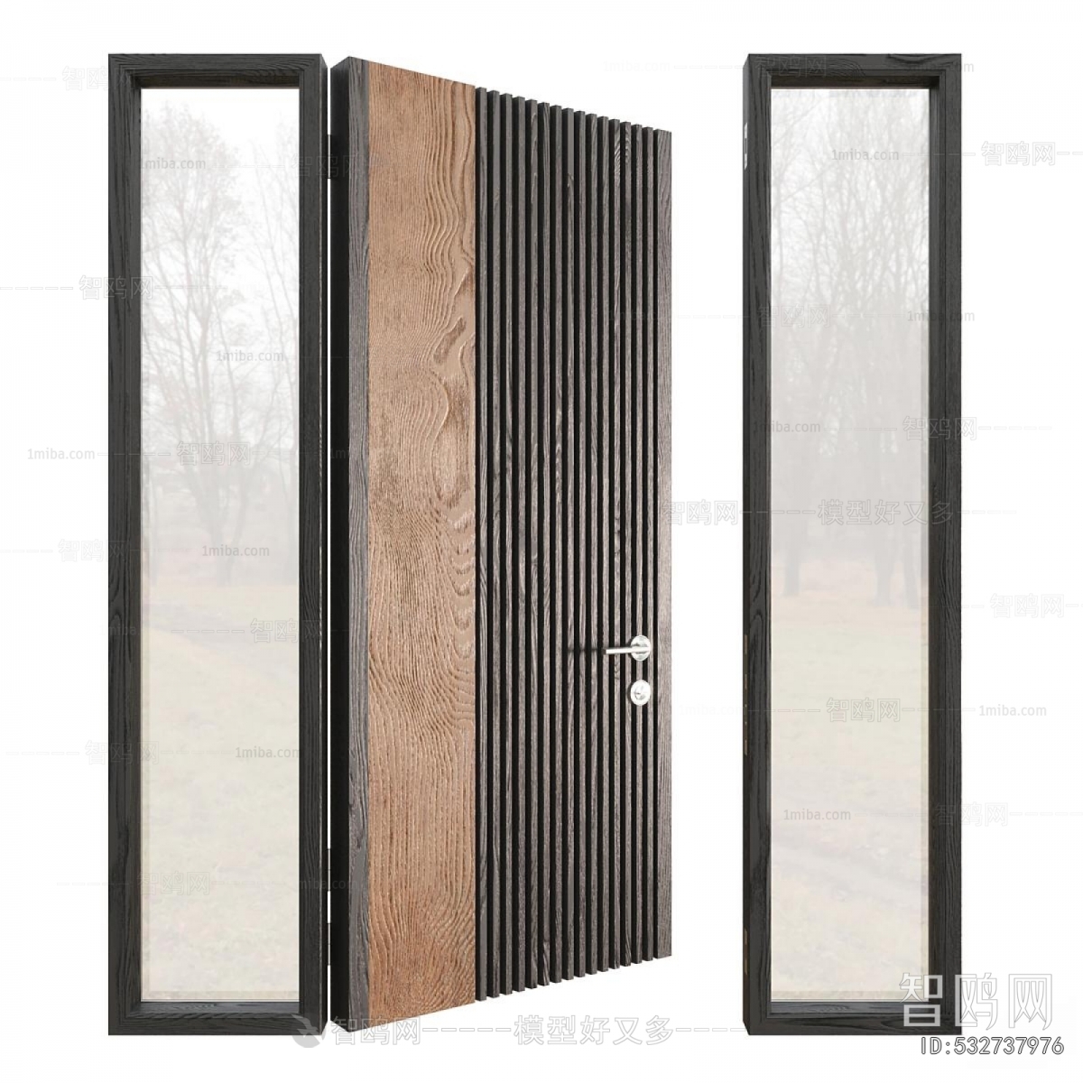 Modern Entrance Door