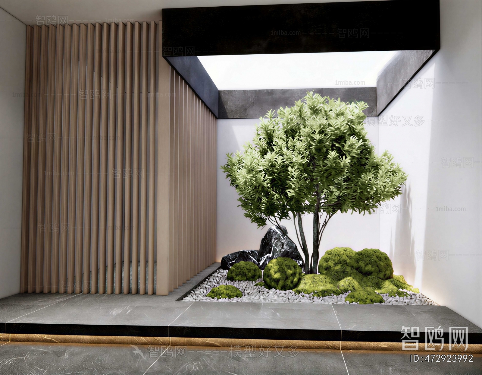 Modern Plant Landscaping