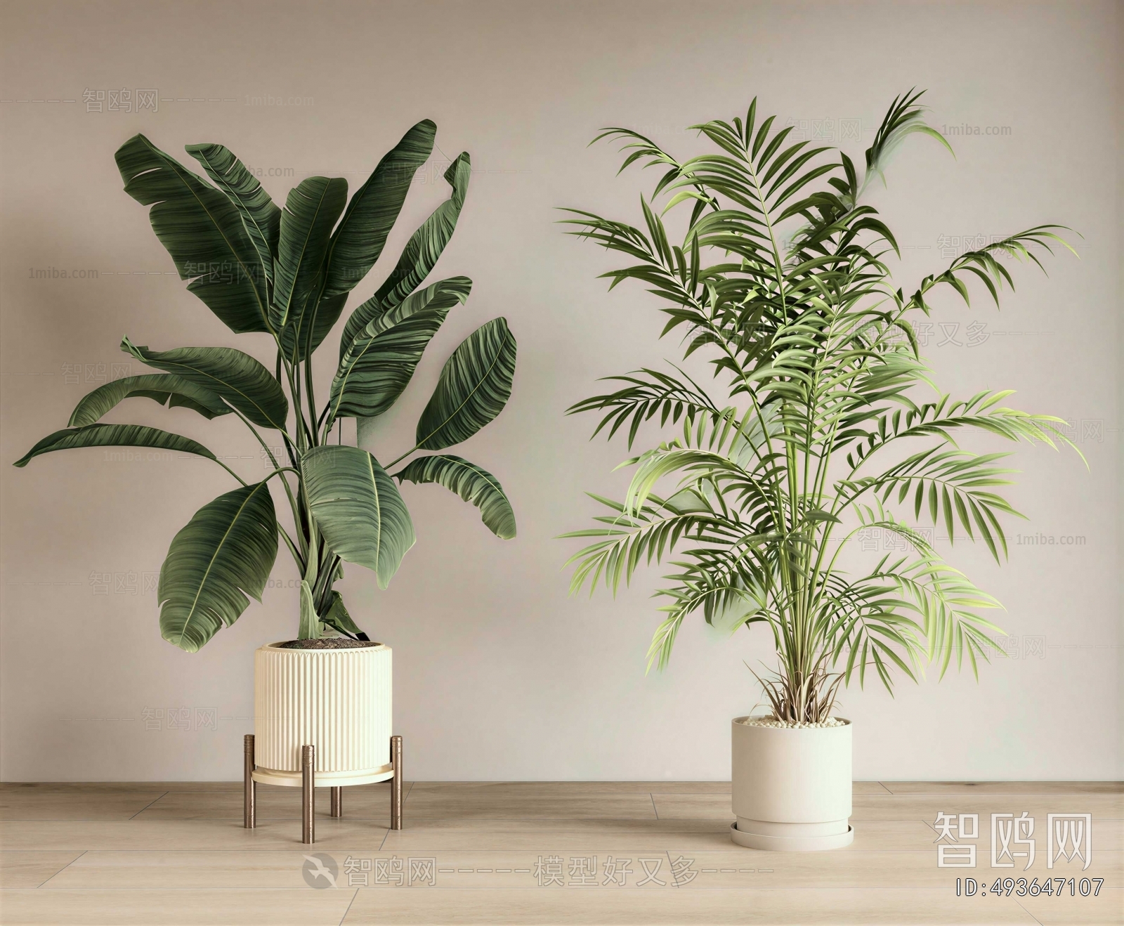 Modern Ground Green Plant Potted Plants